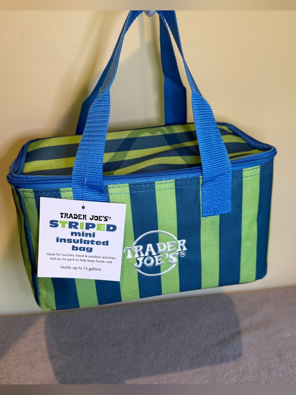 Trader Joe's Blue and Green STRIPED Insulated Mini Tote